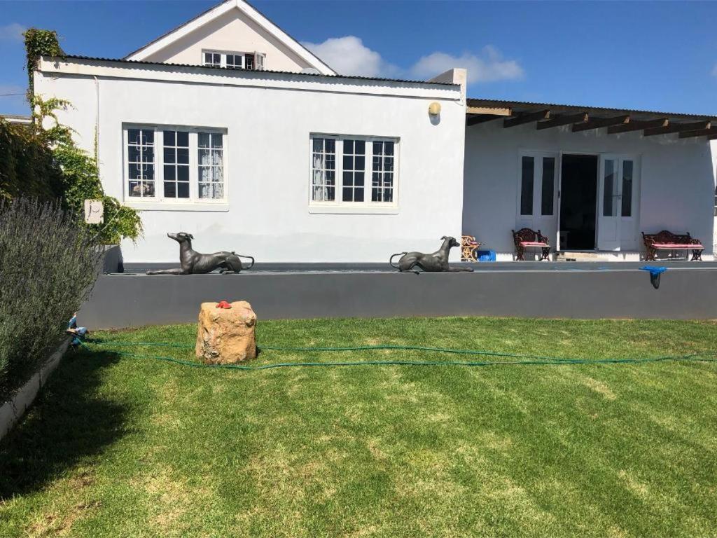 De La Fontaine Guest Cottage And Pool View Luxury Suite Plettenberg Bay Zewnętrze zdjęcie